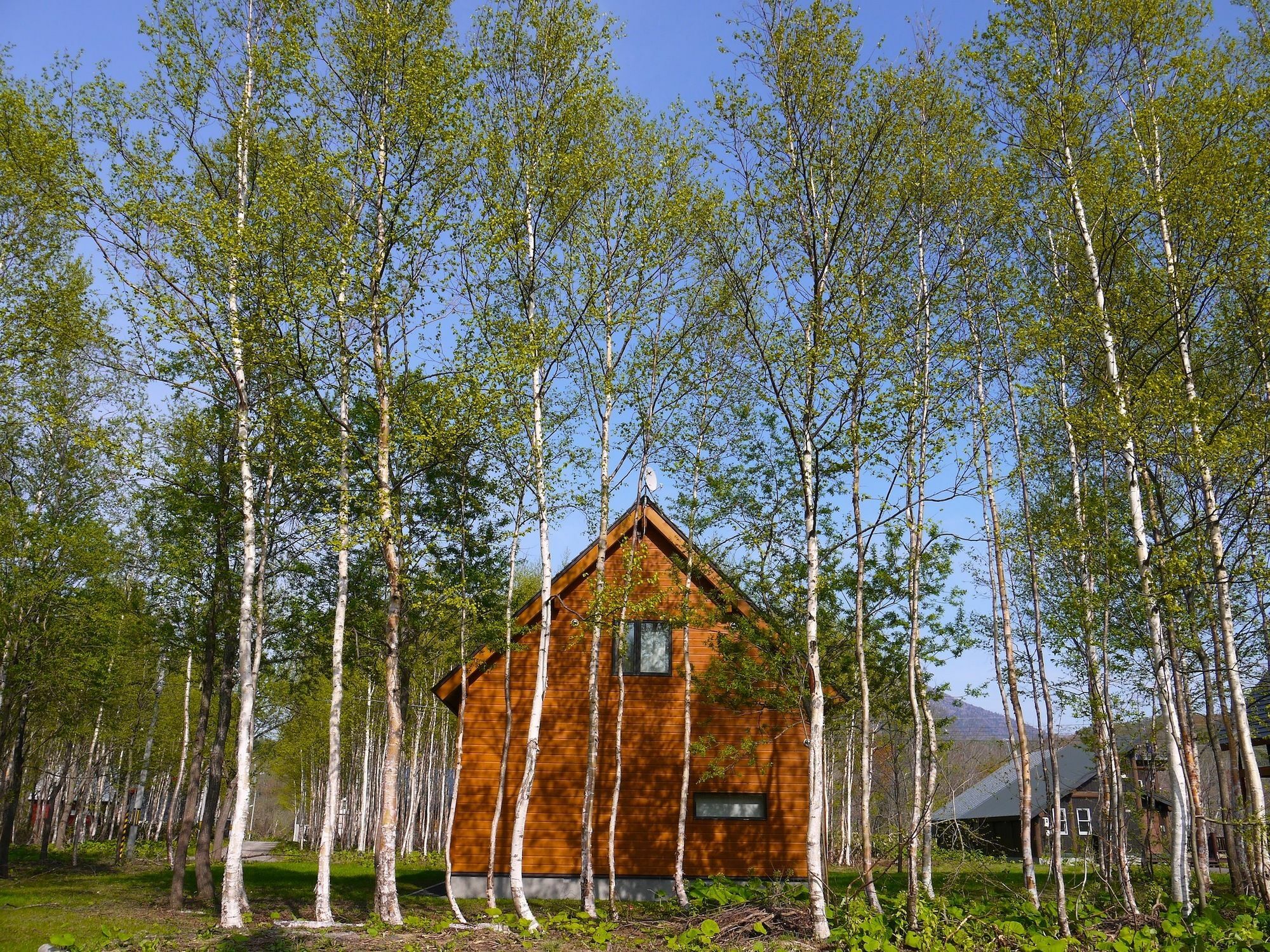 Country Resort Niseko Kutchan Exterior foto